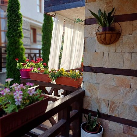 Mila Vip Apartment Bansko Zewnętrze zdjęcie