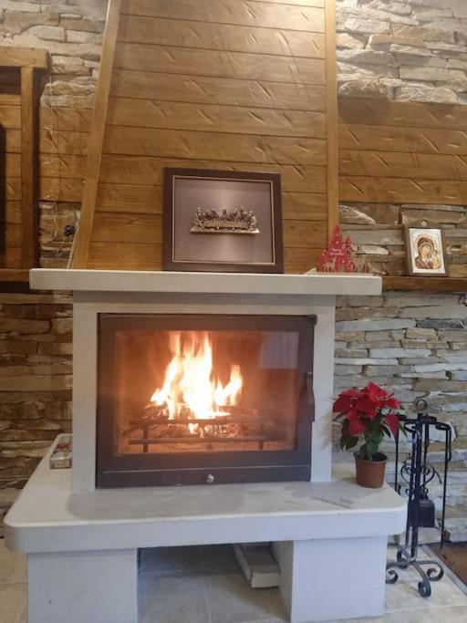Mila Vip Apartment Bansko Zewnętrze zdjęcie