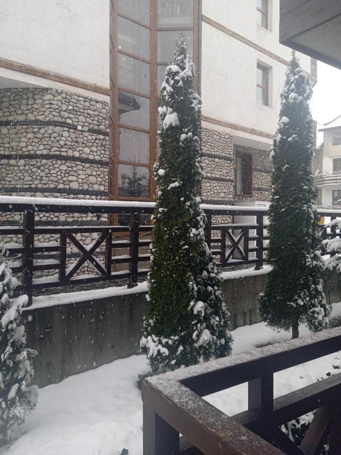 Mila Vip Apartment Bansko Zewnętrze zdjęcie