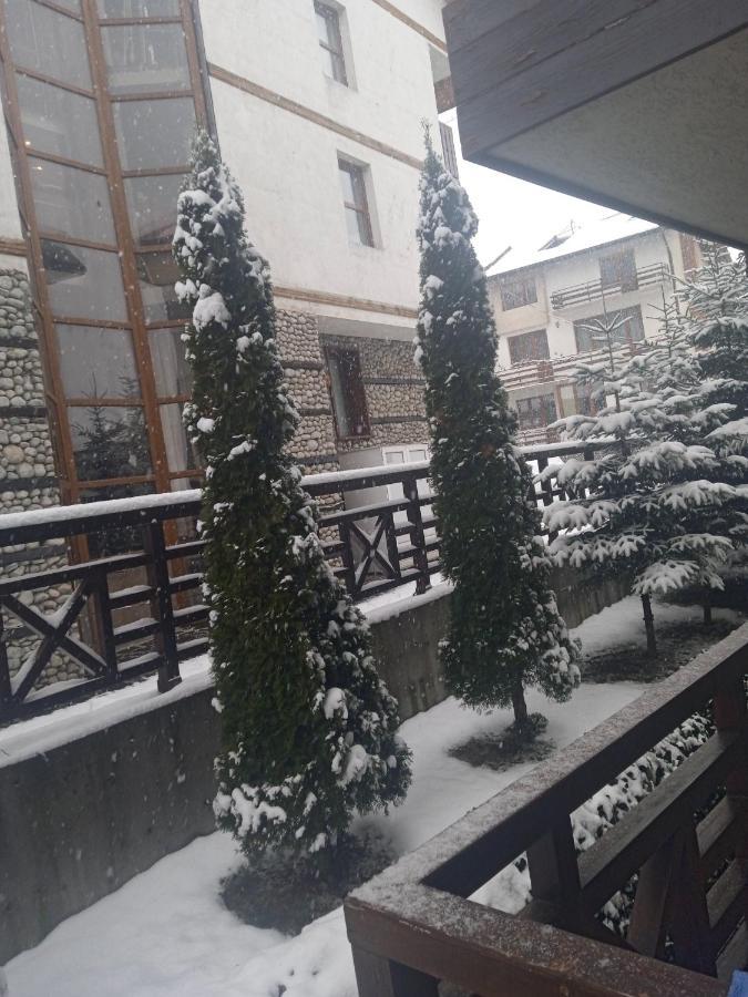 Mila Vip Apartment Bansko Zewnętrze zdjęcie