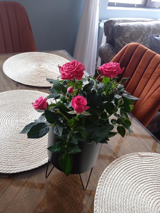 Mila Vip Apartment Bansko Zewnętrze zdjęcie