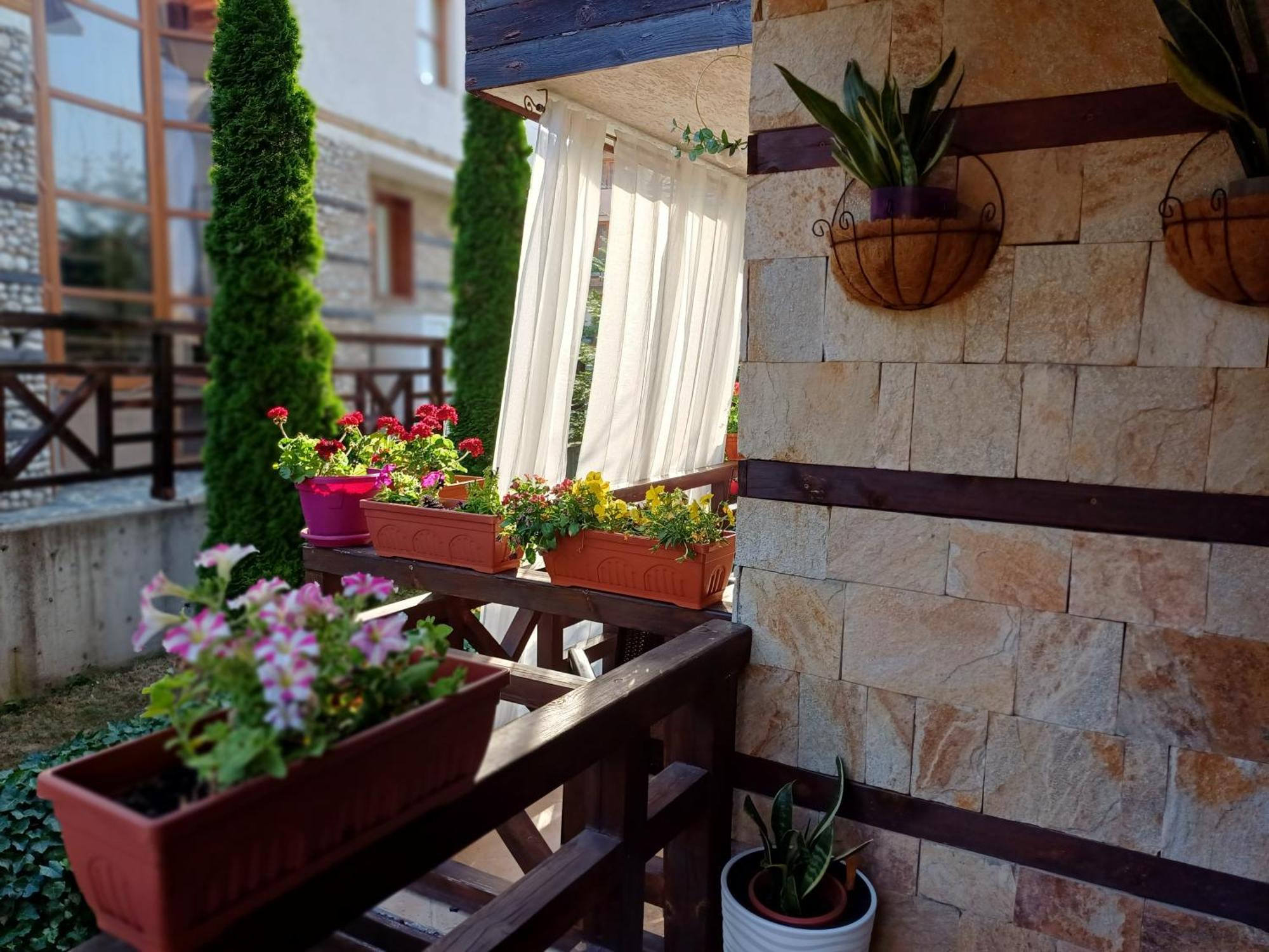 Mila Vip Apartment Bansko Zewnętrze zdjęcie